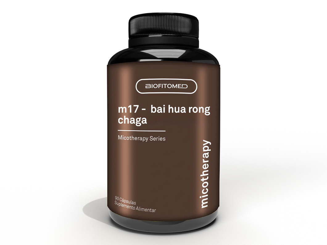 m17 - bai hua rong - chaga